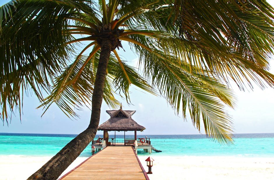 Scenic tropical island pier with palm trees and turquoise sea under clear blue skies